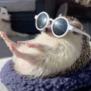 JD