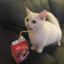 amir